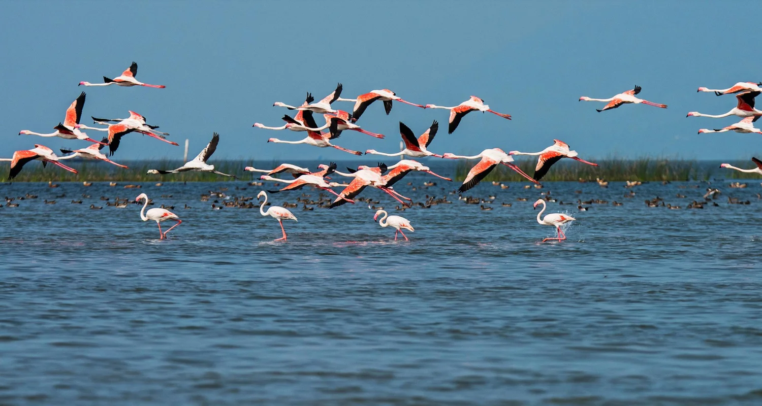 Spiritual Odisha with Chilika Retreat - 4N/5D