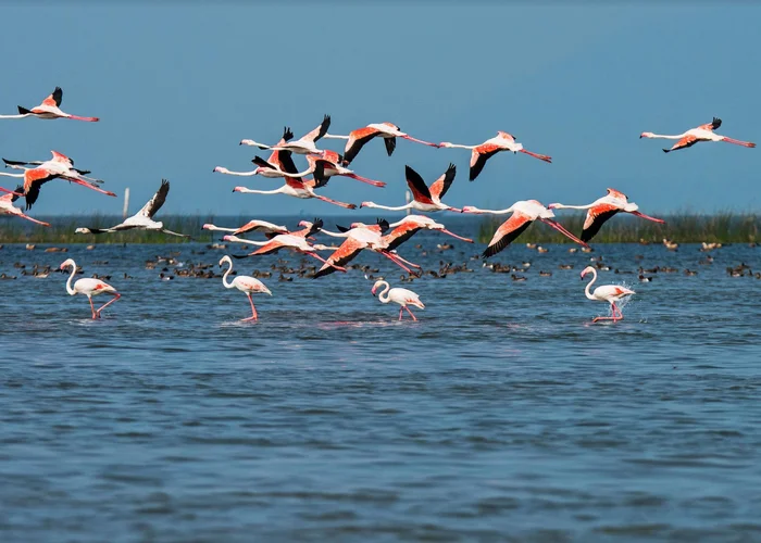 Spiritual Odisha with Chilika Retreat